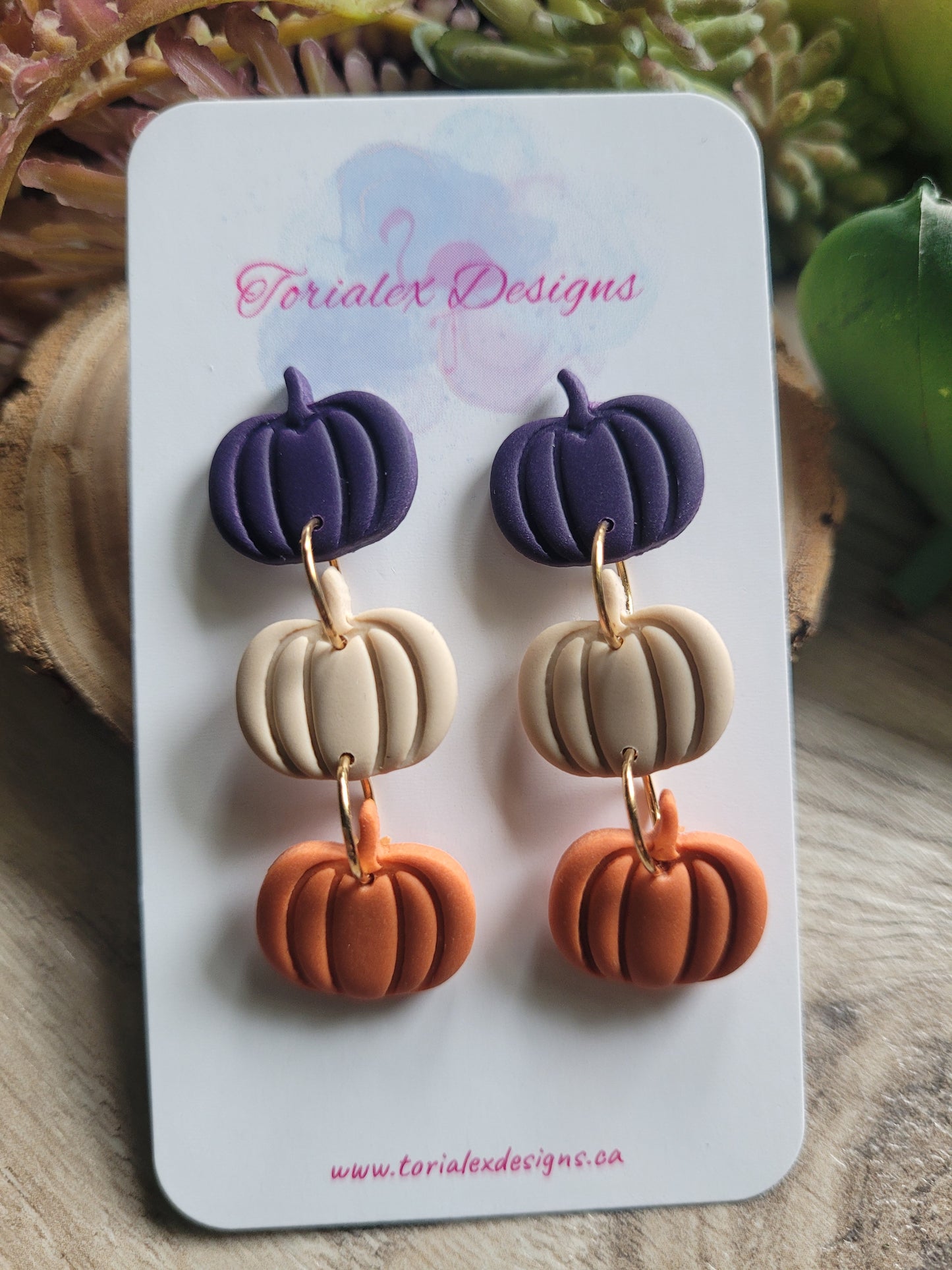 Pumpkin Patch 2025