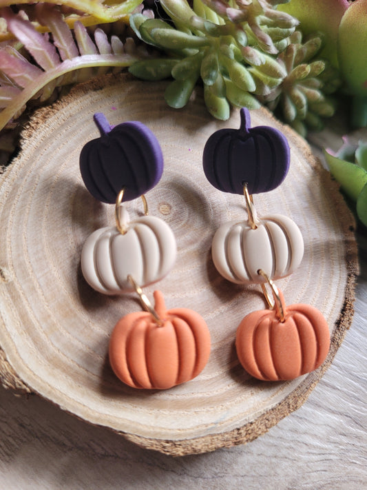 Pumpkin Patch 2025